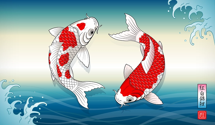 イラストレーション